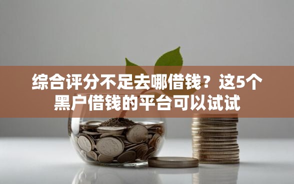综合评分不足去哪借钱？这5个黑户借钱的平台可以试试