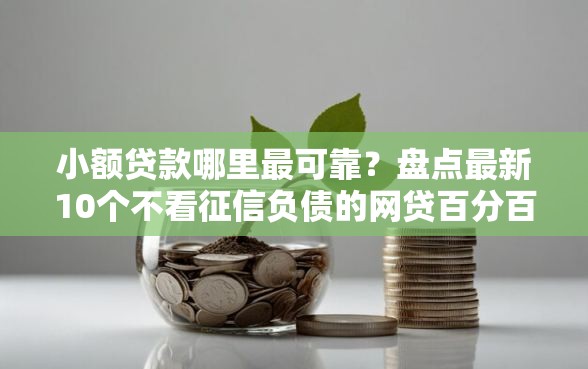 小额贷款哪里最可靠？盘点最新10个不看征信负债的网贷百分百下款口子