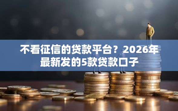 不看征信的贷款平台？2026年最新发的5款贷款口子