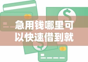 急用钱哪里可以快速借到就选这7个10000元学生可以贷款的平台