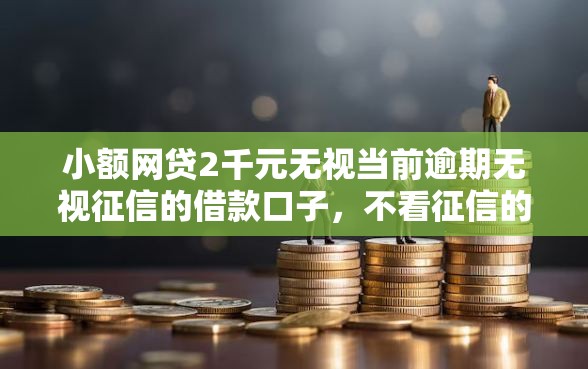 小额网贷2千元无视当前逾期无视征信的借款口子，不看征信的贷款平台的7个平台介绍