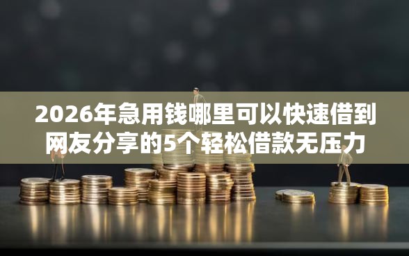2026年急用钱哪里可以快速借到网友分享的5个轻松借款无压力平台我觉得不错！