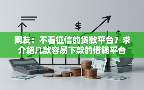 网友：不看征信的贷款平台？求介绍几款容易下款的借钱平台