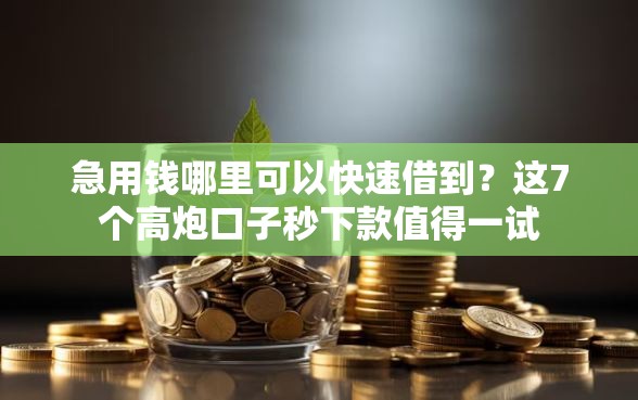 急用钱哪里可以快速借到？这7个高炮口子秒下款值得一试