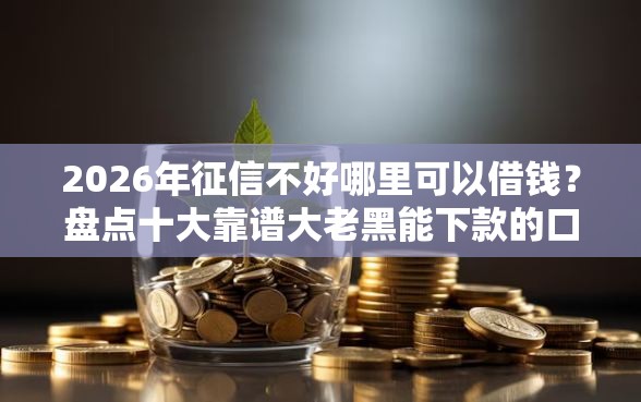2026年征信不好哪里可以借钱？盘点十大靠谱大老黑能下款的口子