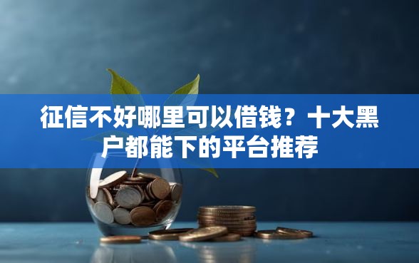 征信不好哪里可以借钱？十大黑户都能下的平台推荐