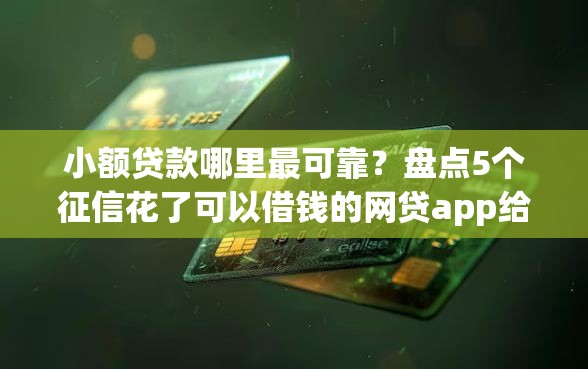 小额贷款哪里最可靠？盘点5个征信花了可以借钱的网贷app给你参考