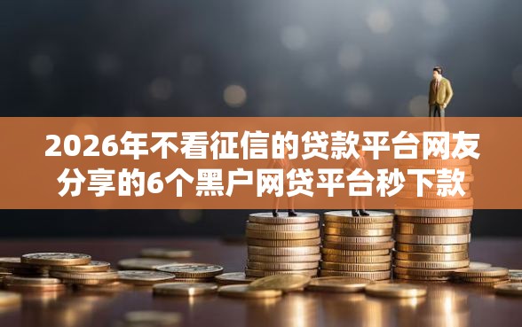2026年不看征信的贷款平台网友分享的6个黑户网贷平台秒下款简单我觉得不错！