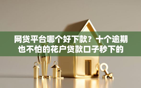 网贷平台哪个好下款？十个逾期也不怕的花户贷款口子秒下的