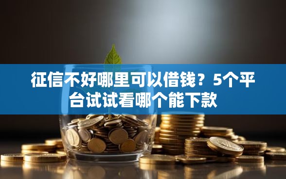 征信不好哪里可以借钱？5个平台试试看哪个能下款
