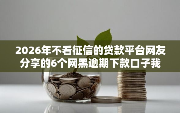 2026年不看征信的贷款平台网友分享的6个网黑逾期下款口子我觉得不错！