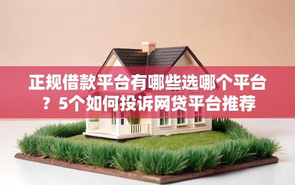 正规借款平台有哪些选哪个平台？5个如何投诉网贷平台推荐