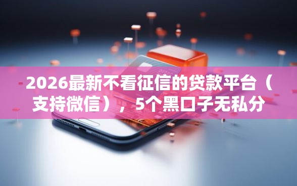 2026最新不看征信的贷款平台（支持微信），5个黑口子无私分享