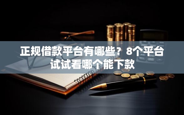 正规借款平台有哪些？8个平台试试看哪个能下款