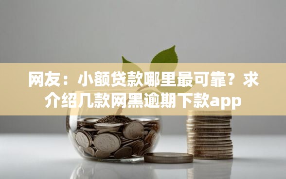 网友：小额贷款哪里最可靠？求介绍几款网黑逾期下款app