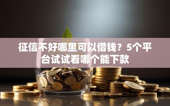 征信不好哪里可以借钱？5个平台试试看哪个能下款