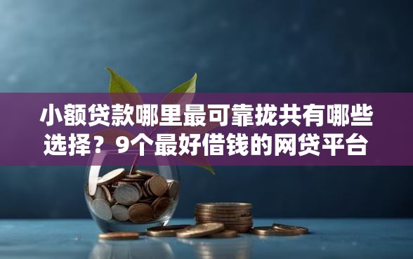 小额贷款哪里最可靠拢共有哪些选择？9个最好借钱的网贷平台不看数据详解