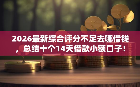 2026最新综合评分不足去哪借钱，总结十个14天借款小额口子！