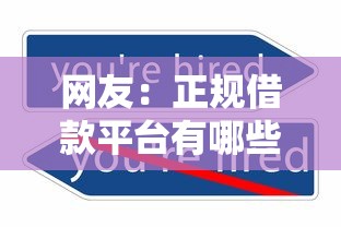 网友：正规借款平台有哪些？求介绍几款可以不看征信就能下款的平台