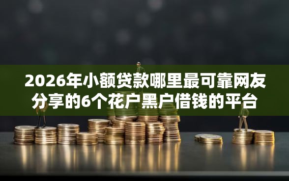 2026年小额贷款哪里最可靠网友分享的6个花户黑户借钱的平台100%能借到我觉得不错！