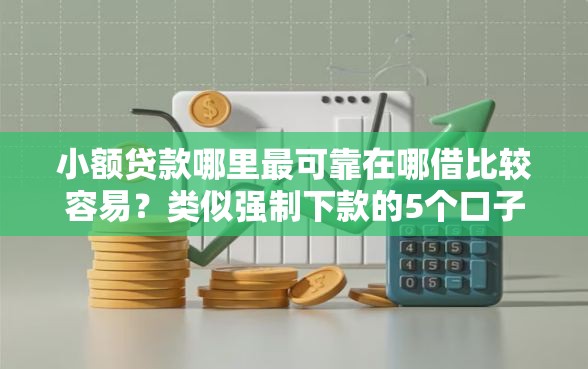 小额贷款哪里最可靠在哪借比较容易？类似强制下款的5个口子参考