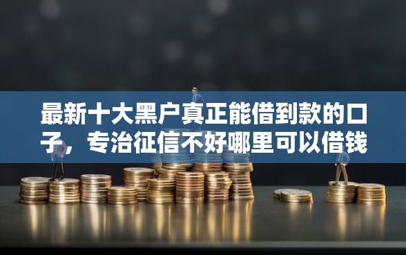 最新十大黑户真正能借到款的口子，专治征信不好哪里可以借钱