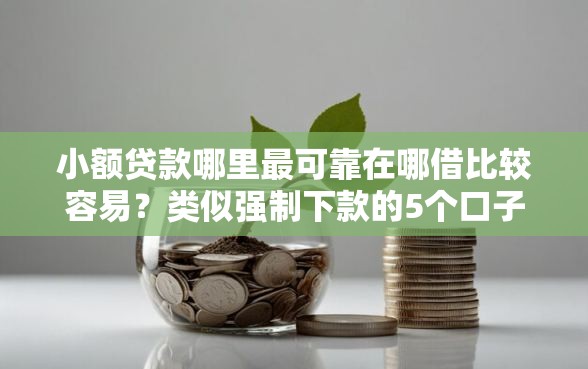 小额贷款哪里最可靠在哪借比较容易？类似强制下款的5个口子参考