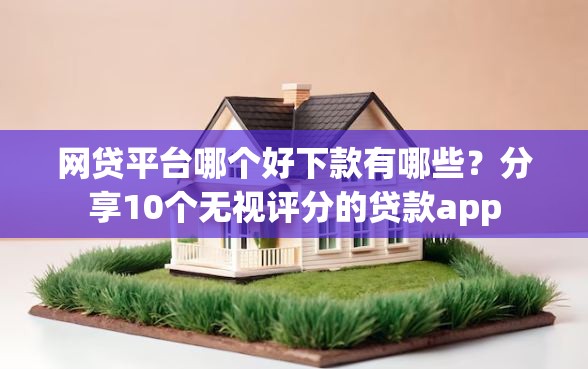 网贷平台哪个好下款有哪些？分享10个无视评分的贷款app