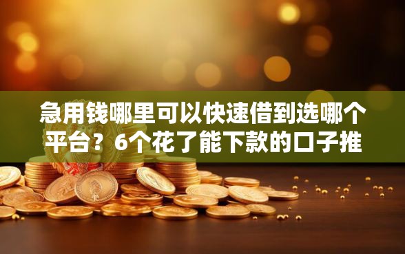 急用钱哪里可以快速借到选哪个平台？6个花了能下款的口子推荐