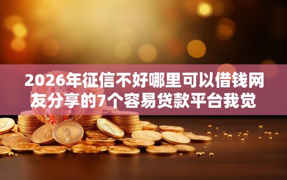 2026年征信不好哪里可以借钱网友分享的7个容易贷款平台我觉得不错！