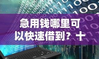 急用钱哪里可以快速借到？十大花户下款的口子2025推荐