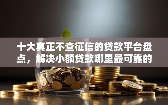 十大真正不查征信的贷款平台盘点，解决小额贷款哪里最可靠的问题