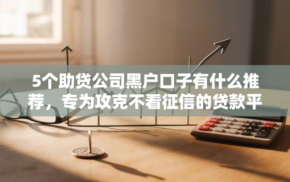 5个助贷公司黑户口子有什么推荐，专为攻克不看征信的贷款平台难题