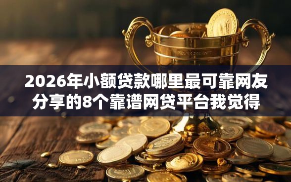 2026年小额贷款哪里最可靠网友分享的8个靠谱网贷平台我觉得不错！