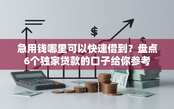急用钱哪里可以快速借到？盘点6个独家贷款的口子给你参考