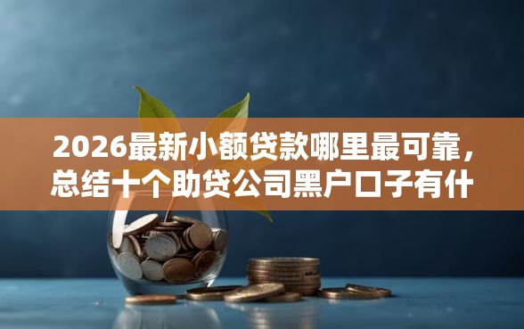 2026最新小额贷款哪里最可靠，总结十个助贷公司黑户口子有什么！