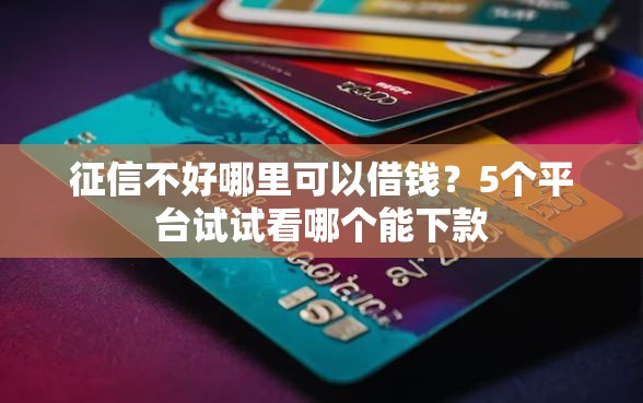 征信不好哪里可以借钱？5个平台试试看哪个能下款