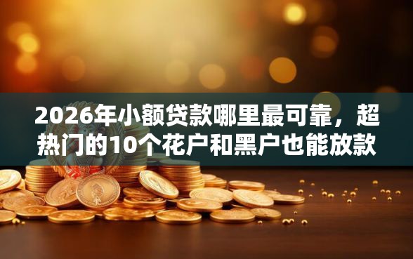 2026年小额贷款哪里最可靠，超热门的10个花户和黑户也能放款的平台推荐
