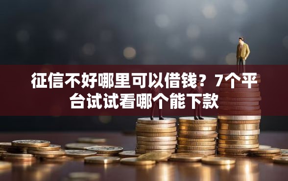 征信不好哪里可以借钱？7个平台试试看哪个能下款