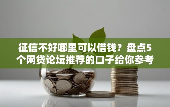 征信不好哪里可以借钱？盘点5个网贷论坛推荐的口子给你参考