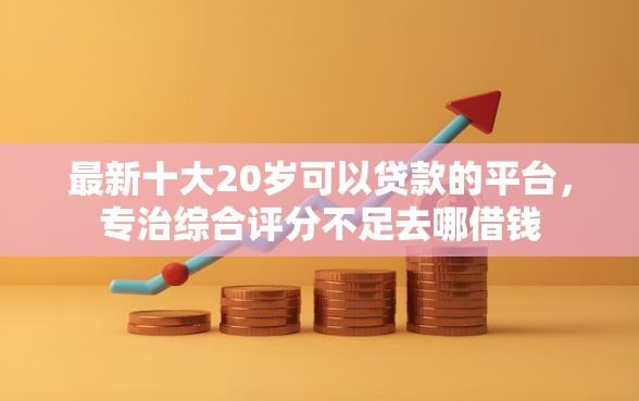 最新十大20岁可以贷款的平台，专治综合评分不足去哪借钱