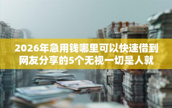2026年急用钱哪里可以快速借到网友分享的5个无视一切是人就下款软件我觉得不错！