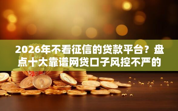 2026年不看征信的贷款平台？盘点十大靠谱网贷口子风控不严的平台