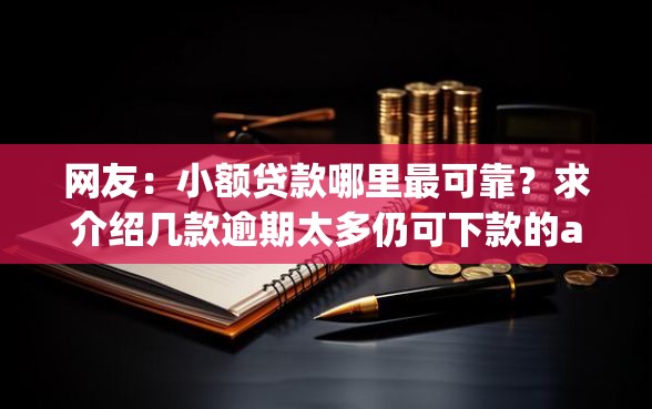 网友：小额贷款哪里最可靠？求介绍几款逾期太多仍可下款的app