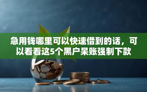 急用钱哪里可以快速借到的话，可以看看这5个黑户呆账强制下款的软件