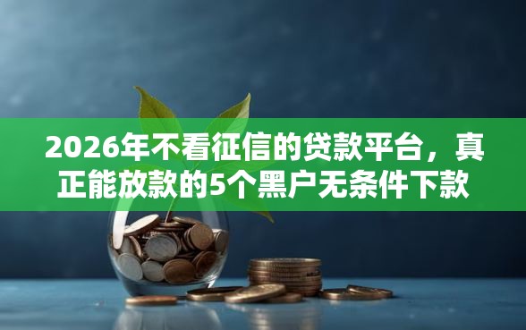2026年不看征信的贷款平台，真正能放款的5个黑户无条件下款的平台推荐