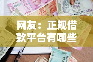 网友：正规借款平台有哪些？求介绍几款保单贷款平台