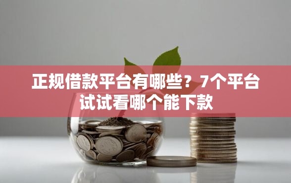 正规借款平台有哪些？7个平台试试看哪个能下款