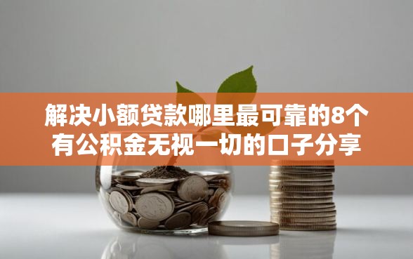 解决小额贷款哪里最可靠的8个有公积金无视一切的口子分享