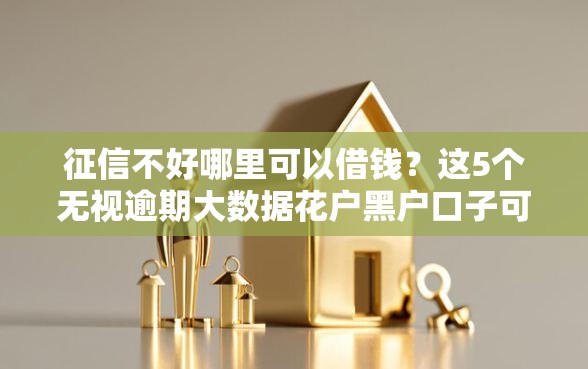 征信不好哪里可以借钱？这5个无视逾期大数据花户黑户口子可以试试